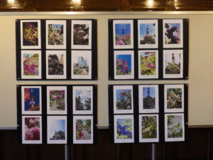 ライラック写真展に展示している投稿写真6