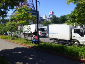 7月8日の活動で芝生の中のブタナの除草する創成ボランティア