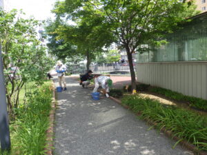 7月26日の活動で園路の除草をする植物ボランティア