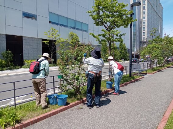 「6月後半の公園ボランティア」の画像