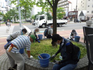 7月5日の活動で円形ますの除草をする植物ボランティア