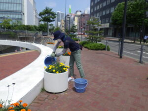 7月14日の活動でコンテナの管理をする花くらぶ
