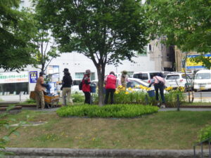 7月21日の活動でヘメロカリスの花がら摘みをする花くらぶと企業ボランティア