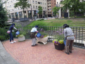 7月28日の活動でコンテナの管理をする花くらぶ