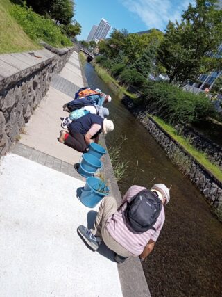 「8月前半の公園ボランティア」の画像