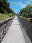 8月3日に園路の除草の活動をするお助け隊