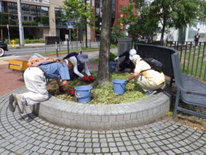 8月10日に円形ますの除草の活動をするお助け隊