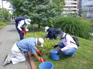 8月17日にヘメロカリスの花がら摘みとスズラン花壇の除草をするお助け隊