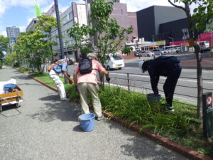 5月24日にヘメロカリスの茎刈りとスズランの除草をするお助け隊