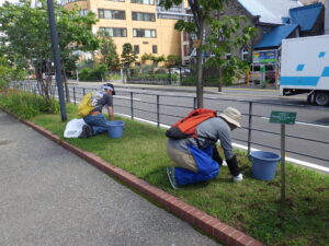 8月19日に芝生の除草をする創成ボランティア