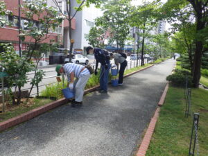 8月9日にヘメロカリスの花がら摘みの活動をする植物ボランティア