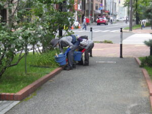 8月23日にヘメロカリスの茎刈りと除草をする植物ボランティア