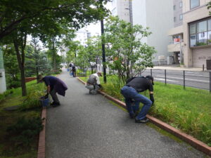 8月23日にヘメロカリスの茎刈りと除草をする植物ボランティア