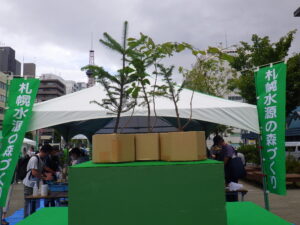 8月27日に開催された水源の森づくりで作られたカミネッコンのポット苗木