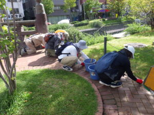 9月21日の活動で園路の除草をするお助け隊