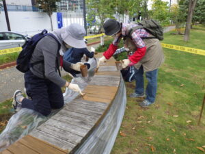 9月28日に北1条北2条の木製円形ベンチの塗装をするお助け隊