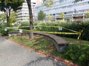 塗り終わったベンチの様子