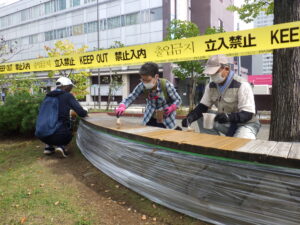 9月28日に北1条北2条の木製円形ベンチの塗装をするお助け隊