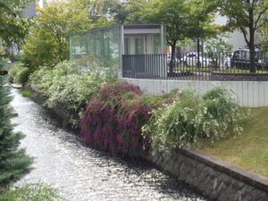 9月29日の南4条のハギの様子