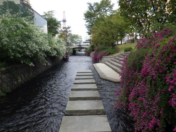 「川面を飾るハギの花」の画像