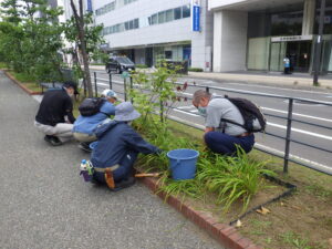 9月6日にヘメロカリス花壇の除草をする植物ボランティアの様子