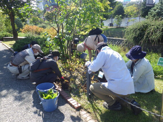 「9月後半の公園ボランティア」の画像