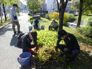 9月27日の活動でスズランの移植作業をする植物ボランティア
