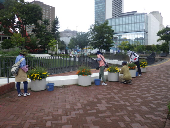 「9月前半の公園ボランティア」の画像