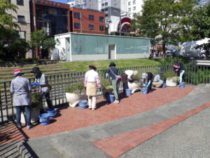 9月8日に狸二条コンテナの手入れをする花くらぶの様子