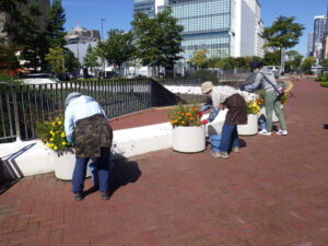 9月22日の活動でまんなか広場のコンテナの手入れをする花くらぶ