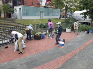 9月29日の活動で狸二条広場コンテナの手入れと越冬ビオラの植込みをする花くらぶ