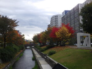 南1条の紅葉の様子