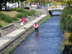 10月8日に行われた企業ボランティアの活動の様子