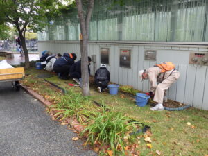 10月5日にスズランの刈り取りの作業をするお助け隊