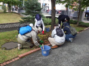 10月5日にスズランの刈り取りの作業をするお助け隊