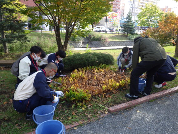 「10月前半の公園ボランティアと企業ボランティア」の画像