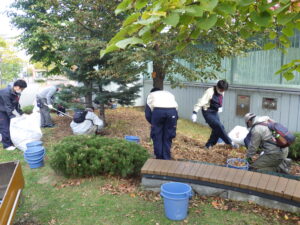 10月12日にスズランの刈り取りの作業をするお助け隊