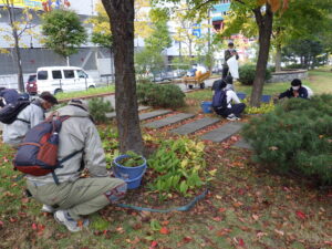 10月12日にスズランの刈り取りの作業をするお助け隊