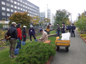 10月19日にスズラン花壇の刈り取りをするお助け隊
