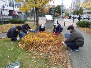 10月19日にスズラン花壇の刈り取りをするお助け隊