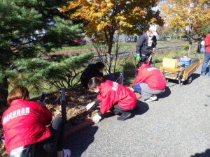 10月26日にスズラン花壇の刈り取りをするお助け隊