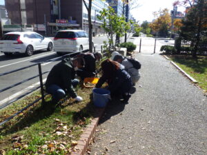 10月26日にヘメロカリスの刈り取りをするお助け隊