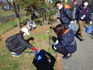 10月26日にスズラン花壇の刈り取りをするお助け隊