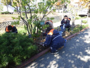 10月26日にヘメロカリスの刈り取りをするお助け隊