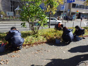 10月26日にヘメロカリスの刈り取りをするお助け隊
