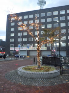 樹木のイルミネーションの試験点灯の様子