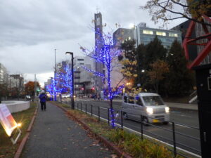 樹木のイルミネーションの試験点灯の様子