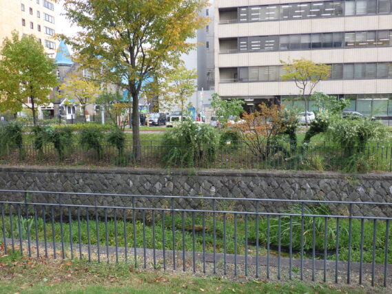 「紅葉の中、ハギの刈り取り開始」の画像