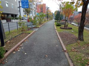 宿根草花壇、ハギの刈り取り後の公園内の様子