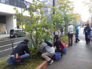 10月18日にライラックの選定の活動をする植物ボランティア